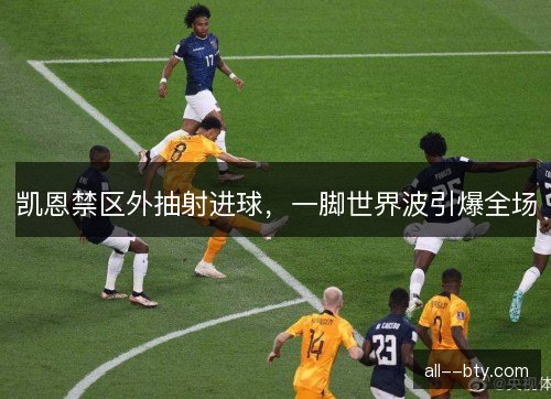 凯恩禁区外抽射进球，一脚世界波引爆全场